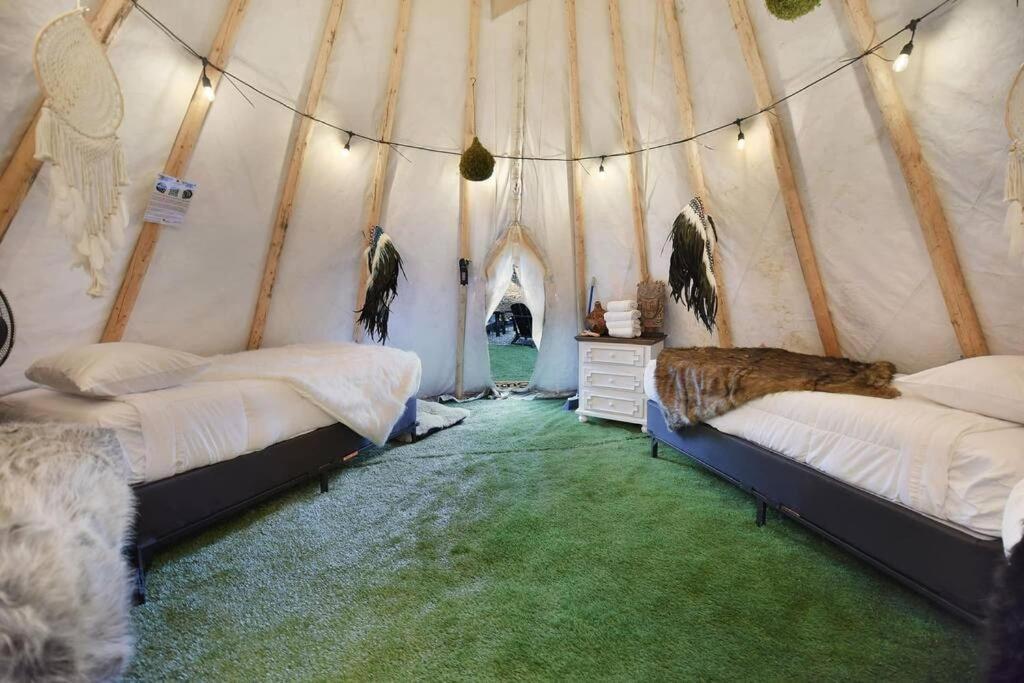 Enchanted Forest Cabin And Teepee! Lights & Laser Show! Private Hot Tub! Unique Stay! Sevierville Extérieur photo